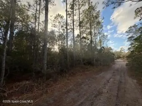 880 Still Road Pierson FL 32180