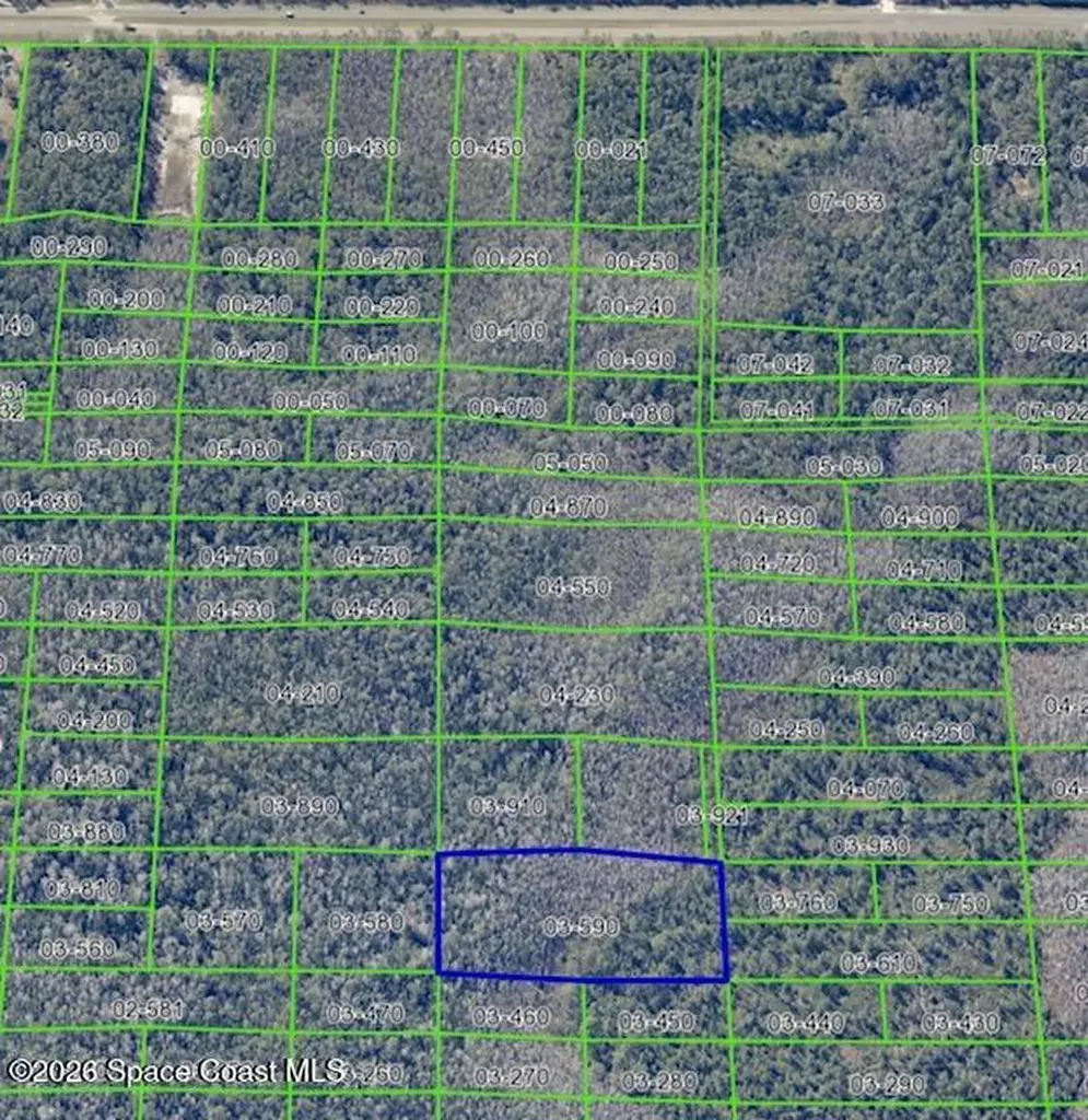 000 Dill Road Christmas FL 32709
