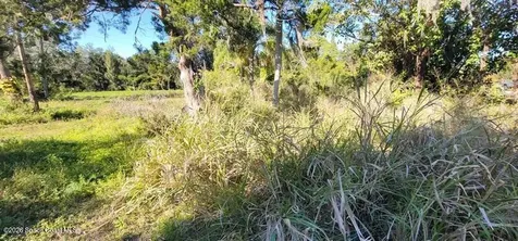 6235 N Tropical Trail Merritt Island FL 32953