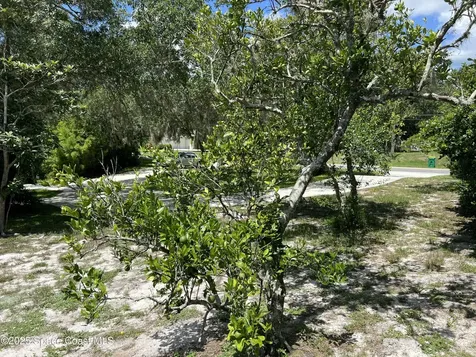6031 Barna Avenue Titusville FL 32780