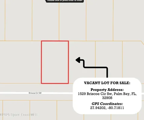 1529 Briscoe Circle SW Palm Bay FL 32908