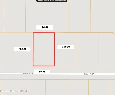 1529 Briscoe Circle SW Palm Bay FL 32908