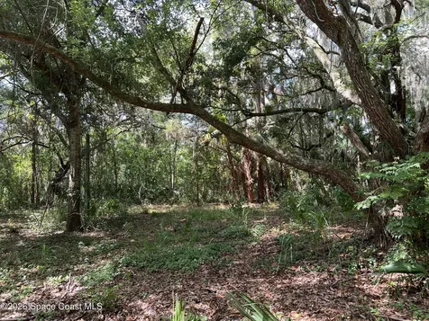 0 Cinnamon Fern Boulevard Boulevard Cocoa FL 32927