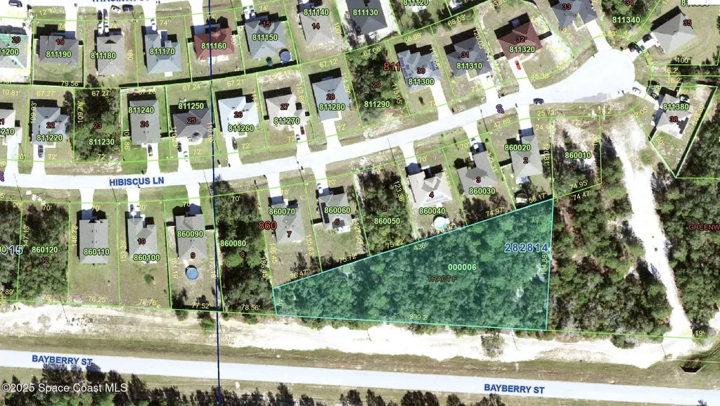 0 Bayberry Street Poinciana FL 34759