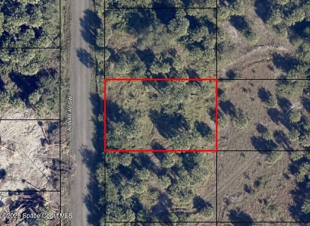 2135 Alwar Avenue SW Palm Bay FL 32908