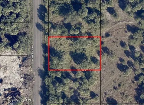 2135 Alwar Avenue SW Palm Bay FL 32908