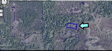 None Unknown Grant FL 32949