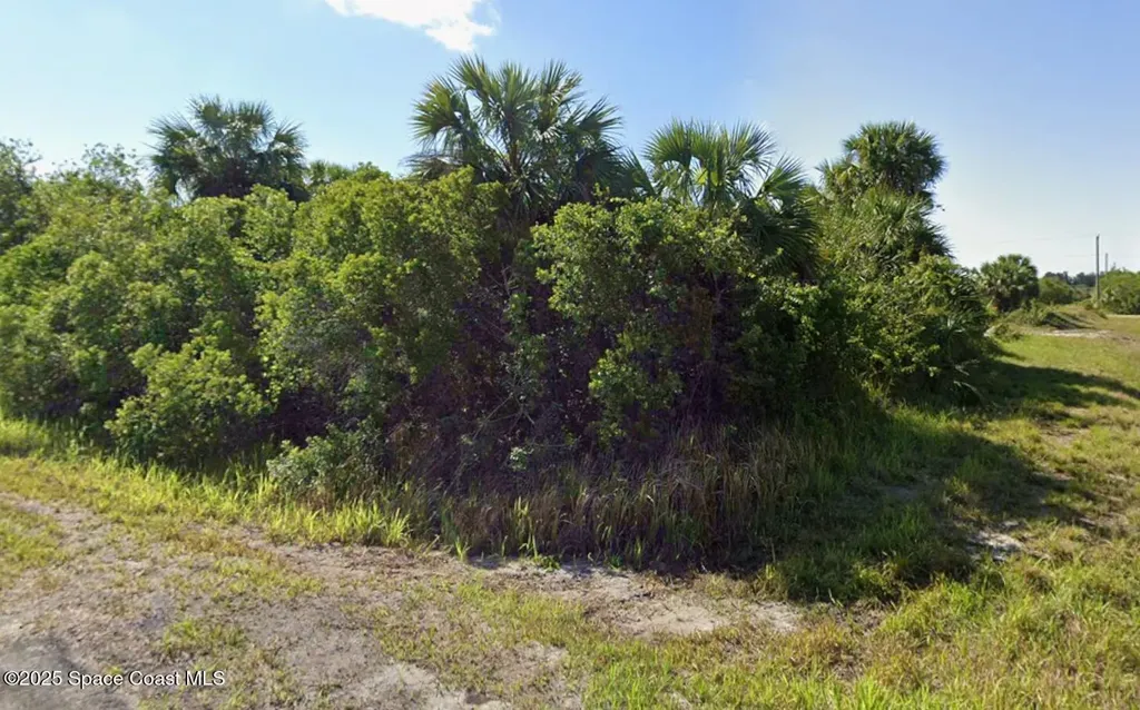 798 Novak Street SW Palm Bay FL 32908