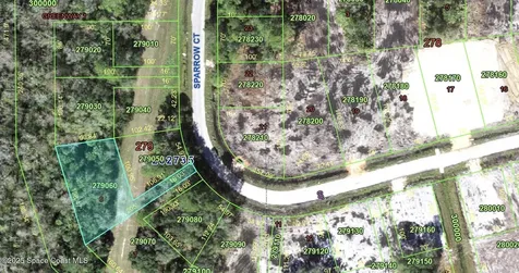 00-0 Sparrow Court Poinciana FL 34759