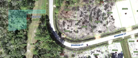 0-00 Sparrow Court Poinciana FL 34759