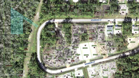 00 Sparrow Court Poinciana FL 34759