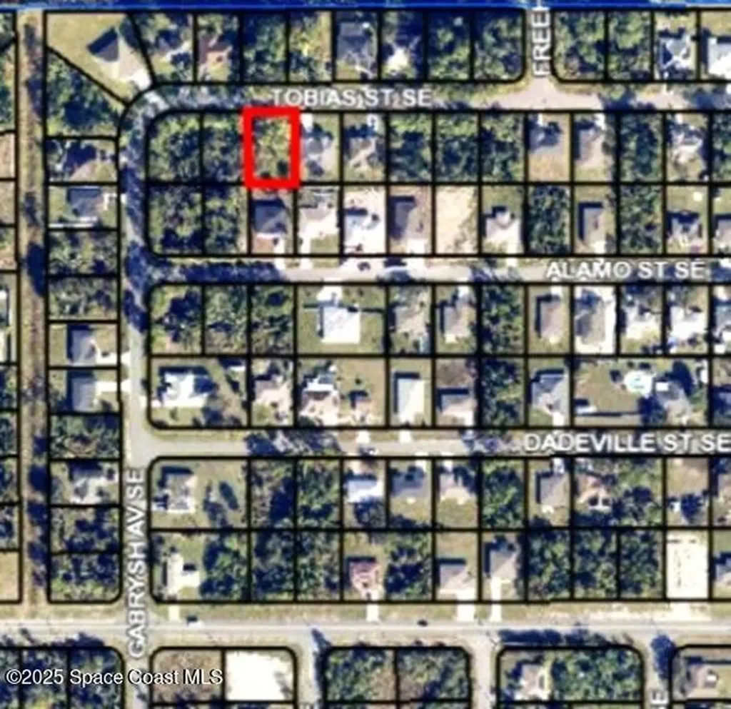 336 Tobias Street SE Palm Bay FL 32909