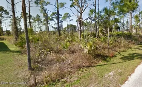 336 Tobias Street SE Palm Bay FL 32909