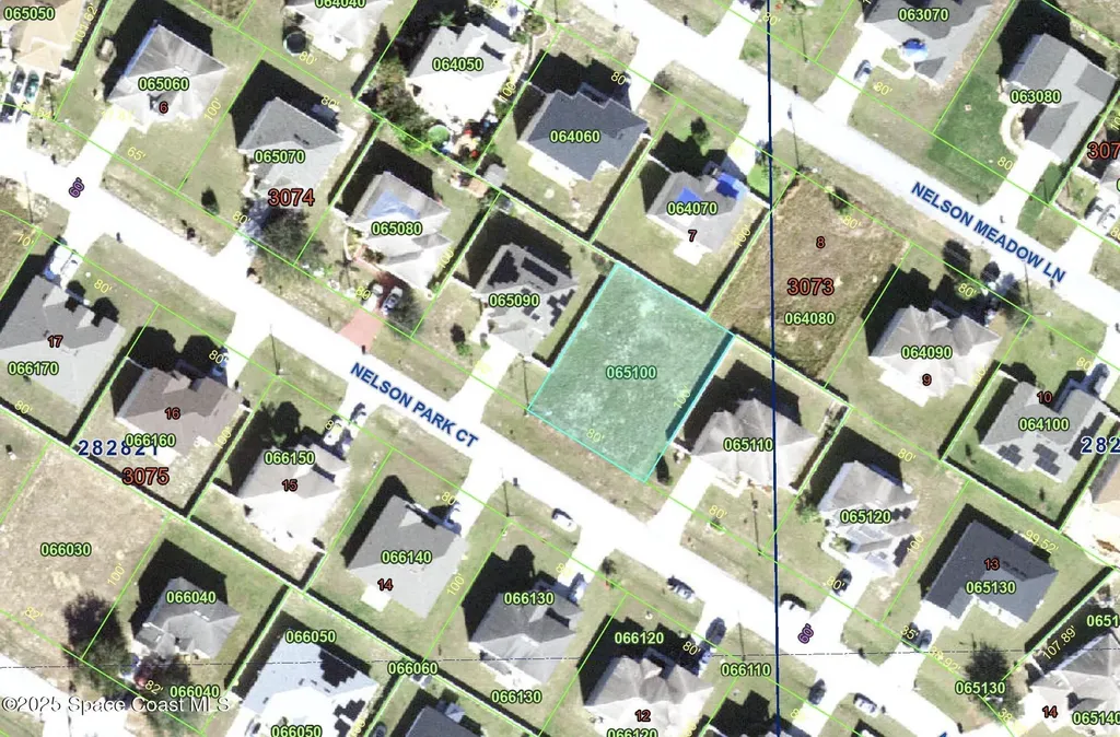 1257 Nelson Park Court Poinciana FL 34759