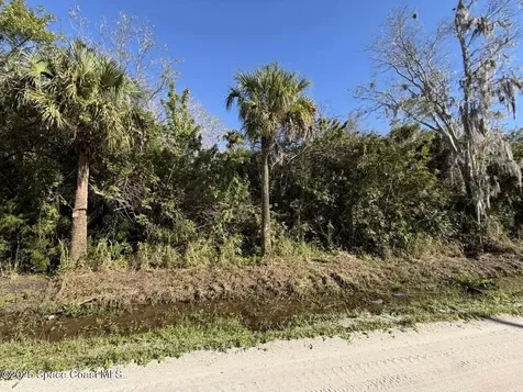 0000 Hammock Road Mims FL 32754