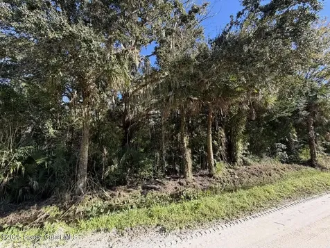 0000 Hammock Road Mims FL 32754
