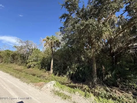 0000 Hammock Road Mims FL 32754