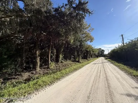 0000 Hammock Road Mims FL 32754
