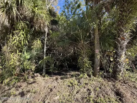 0000 Hammock Road Mims FL 32754