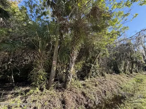 0000 Hammock Road Mims FL 32754