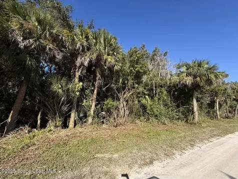0000 Hammock Road Mims FL 32754