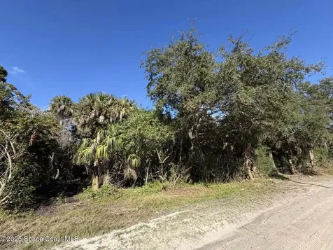 0000 Hammock Road Mims FL 32754