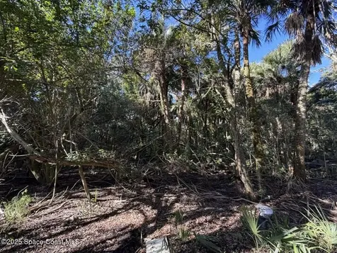 0000 Hammock Road Mims FL 32754