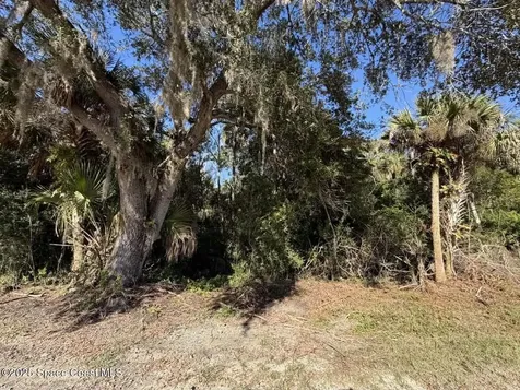 0000 Hammock Road Mims FL 32754