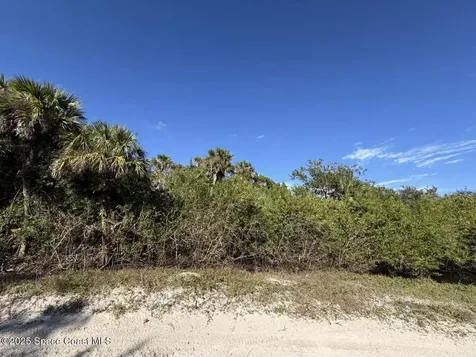 0000 Hammock Road Mims FL 32754
