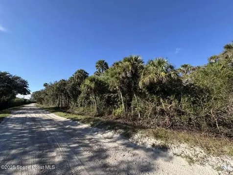 0000 Hammock Road Mims FL 32754