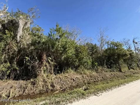 0000 Hammock Road Mims FL 32754