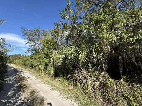 0000 Hammock Road Mims FL 32754