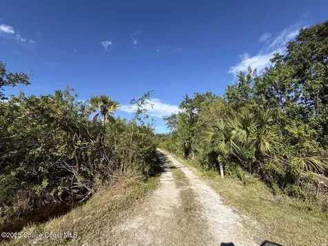 0000 Hammock Road Mims FL 32754