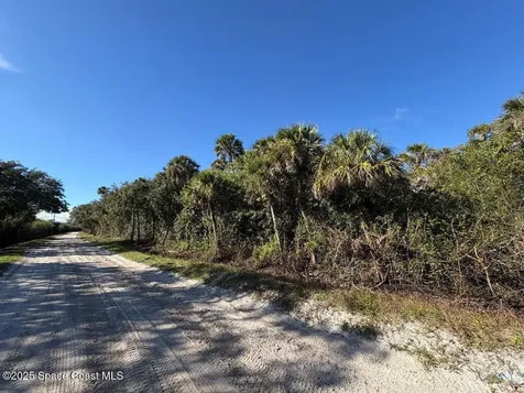 0000 Hammock Road Mims FL 32754