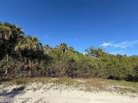 0000 Hammock Road Mims FL 32754