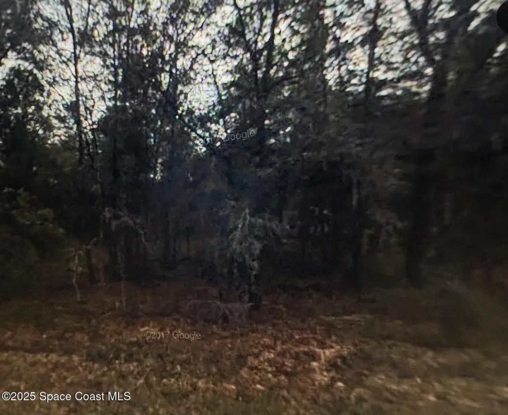 3588 E Bellshire Place Inverness FL 34452
