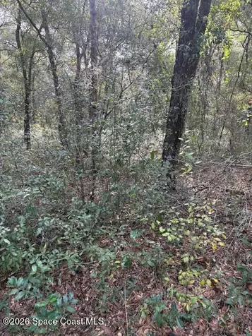 3588 E Bellshire Place Inverness FL 34452