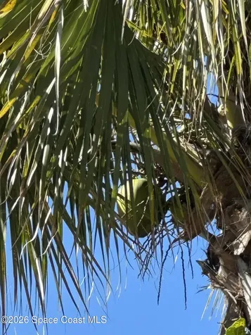 6570 S Floridana Avenue S Melbourne Beach FL 32951
