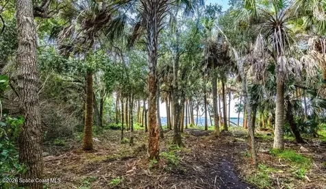 2940 Maritime Lane Merritt Island FL 32953