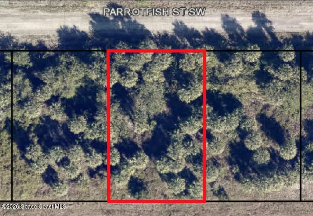 756 Parrotfish Street SW Palm Bay FL 32908