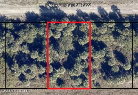 756 Parrotfish Street SW Palm Bay FL 32908