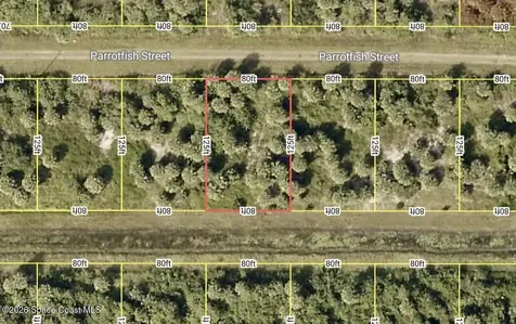 756 Parrotfish Street SW Palm Bay FL 32908