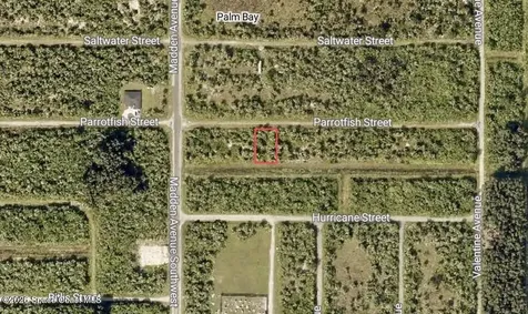 756 Parrotfish Street SW Palm Bay FL 32908