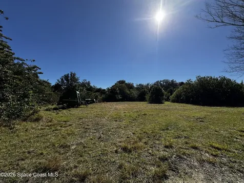 0 Grantline Road Mims FL 32754
