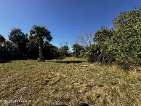 0 Grantline Road Mims FL 32754