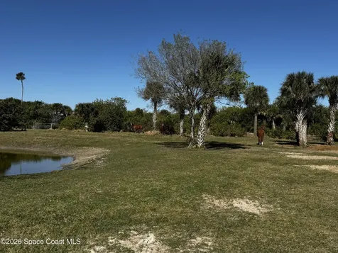 0 Grantline Road Mims FL 32754