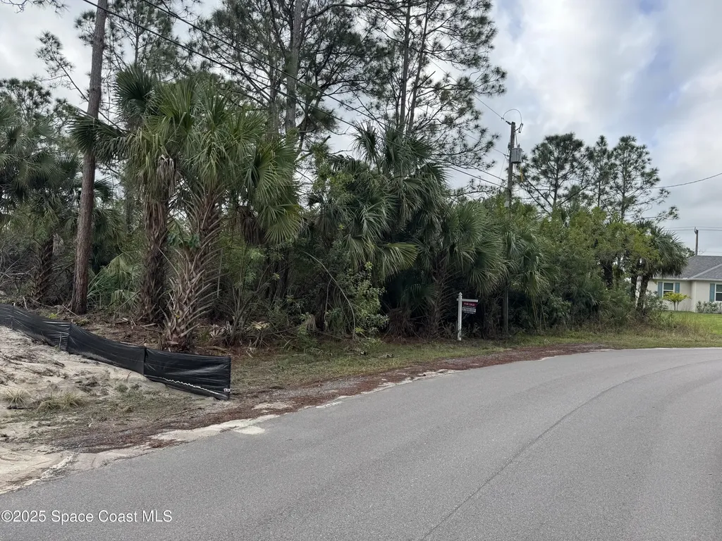 3395 SW Fitzpatrick Avenue SW Palm Bay FL 32908