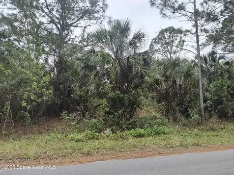 3395 SW Fitzpatrick Avenue SW Palm Bay FL 32908