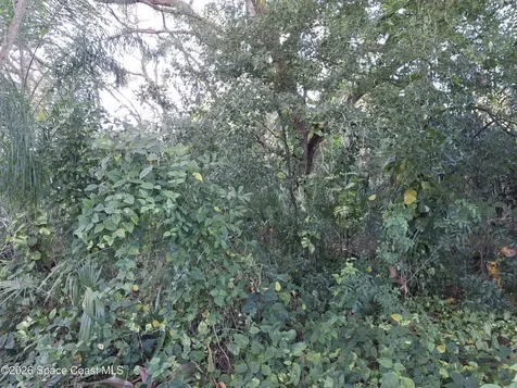 4824 Curtis Boulevard Cocoa FL 32927