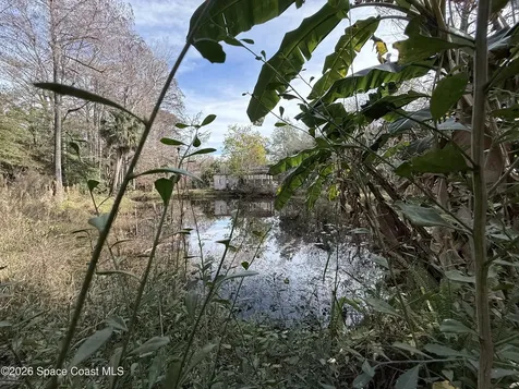 4590 Hog Valley Road Mims FL 32754